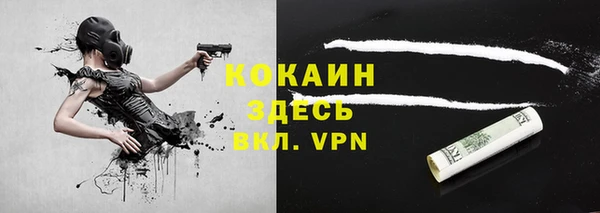 дурь Арсеньев