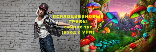 дурь Арсеньев